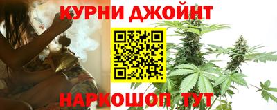 гидра Нарткала