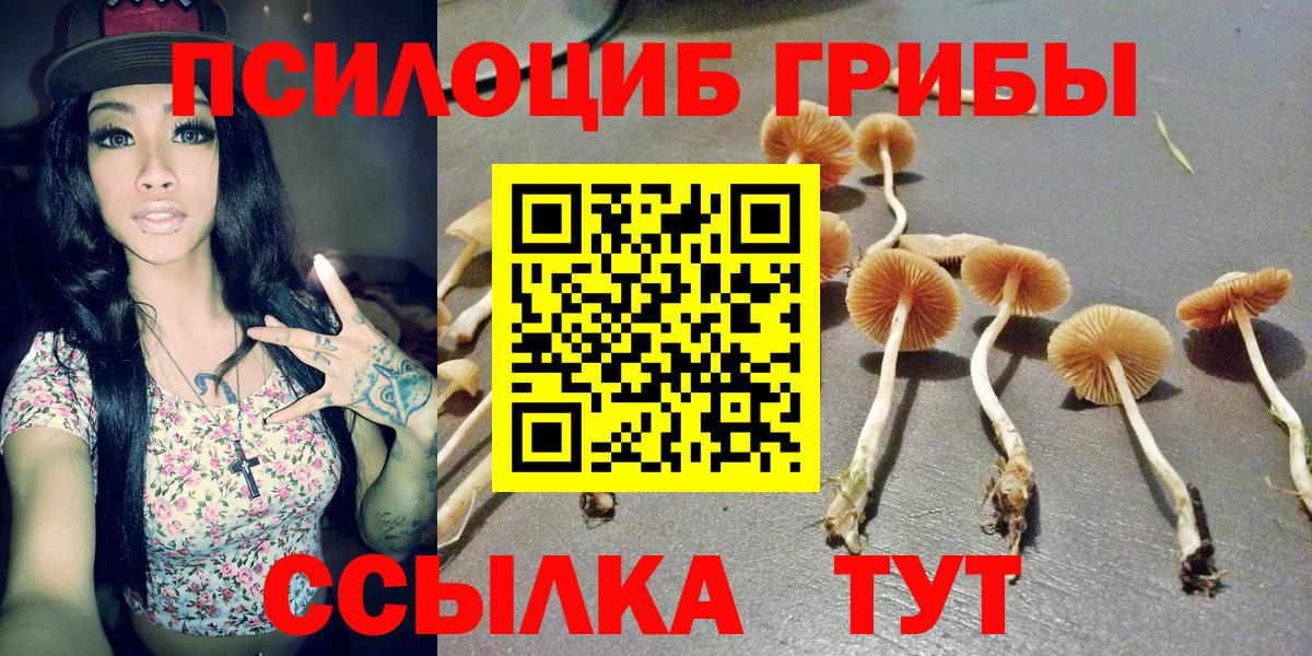 Псилоцибиновые грибы ЛСД  Вход с VPN  Орск 
